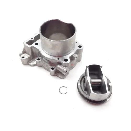 Engine Cylinder Jug W Piston Rear Aprilia RST1000 Futura 2084 3