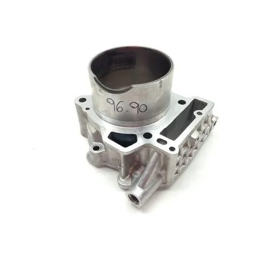 Engine Cylinder Jug W Piston Rear Aprilia RST1000 Futura 2084 11