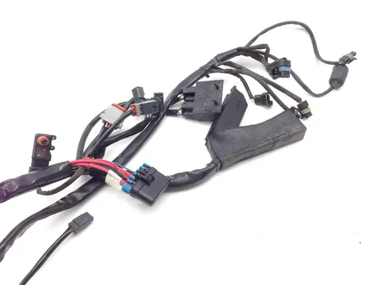 Main Engine Wiring Harness 2000 Harley Electra Glide Classic EFI FLHTCI 2163