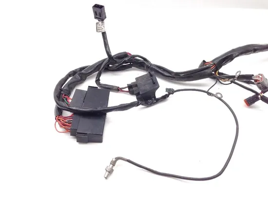 Main Engine Wiring Harness 2000 Harley Electra Glide Classic EFI FLHTCI 2163