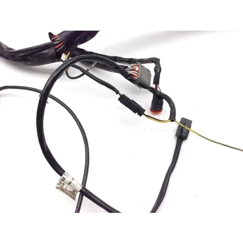 Main Engine Wiring Harness 2000 Harley Electra Glide Classic EFI FLHTCI 2163 9