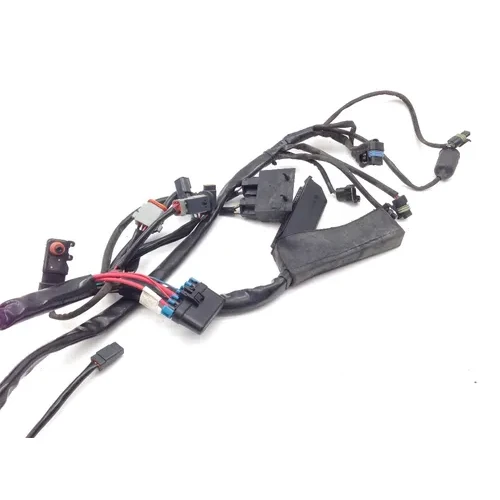 Main Engine Wiring Harness 2000 Harley Electra Glide Classic EFI FLHTCI 2163 12