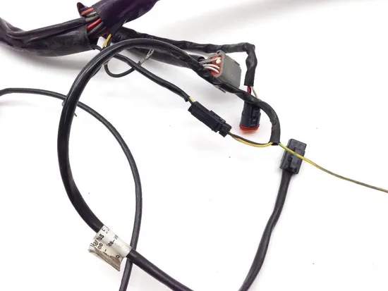 Main Engine Wiring Harness 2000 Harley Electra Glide Classic EFI FLHTCI 2163