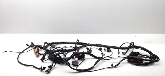 Main Engine Wiring Harness 2000 Harley Electra Glide Classic EFI FLHTCI 2163