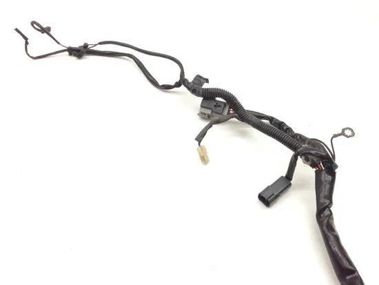 Main Engine Wiring Harness 2000 Harley Electra Glide Classic EFI FLHTCI 2163