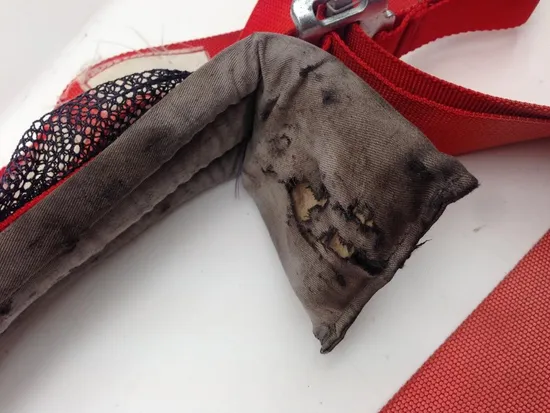 Seat Belt A 2012 Polaris RZR XP 900 LE EFI 2121 x