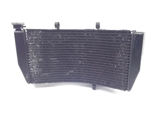 CBR 954 RR Engine Radiator Cooling 2002 Honda