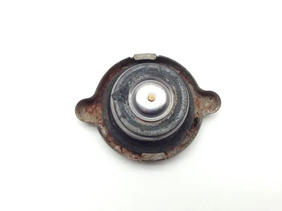 Engine Radiator Cap 2005 Polaris Sportsman 700 Twin EFI 2130