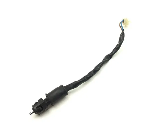 Brake Tail Light Switch 2008 Kawasaki ZZR600 2116