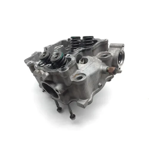 Engine Cylinder Head Complete W Valves 2002 Arctic Cat 400 4x4 EFI 2139 11
