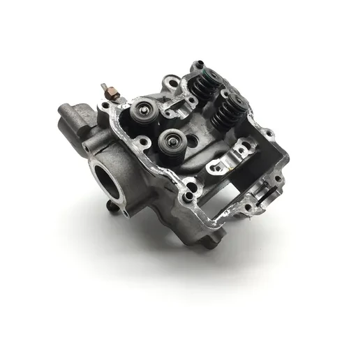 Engine Cylinder Head Complete W Valves 2002 Arctic Cat 400 4x4 EFI 2139 18
