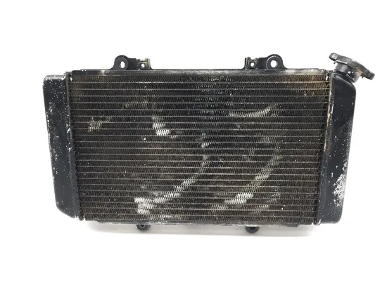 Engine Radiator Cooling 2004 Yamaha Grizzly 660 YFM660F 4x4 2147A