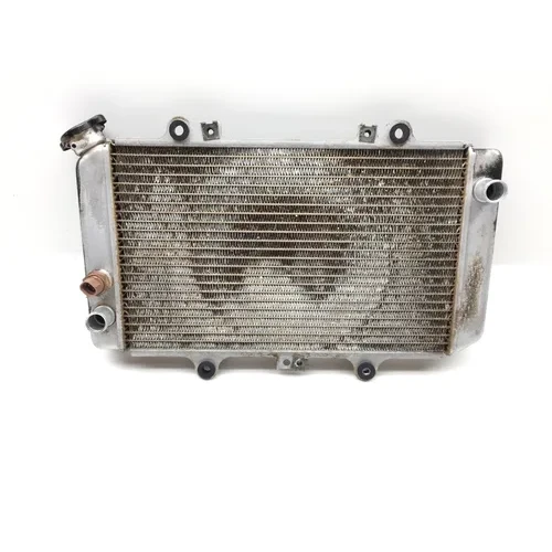 Engine Radiator Cooling 2004 Yamaha Grizzly 660 YFM660F 4x4 2147A 3