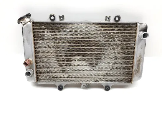 Engine Radiator Cooling 2004 Yamaha Grizzly 660 YFM660F 4x4 2147A