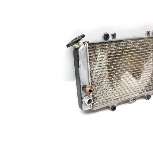 Engine Radiator Cooling 2004 Yamaha Grizzly 660 YFM660F 4x4 2147A 5