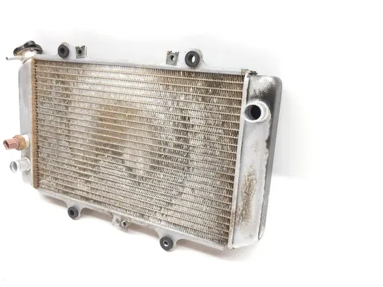 Engine Radiator Cooling 2004 Yamaha Grizzly 660 YFM660F 4x4 2147A