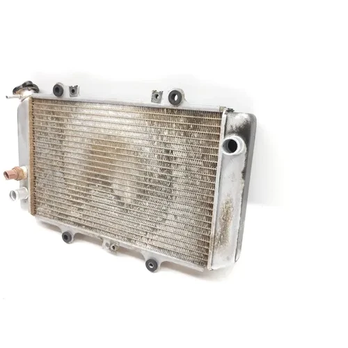 Engine Radiator Cooling 2004 Yamaha Grizzly 660 YFM660F 4x4 2147A 7