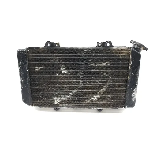 Engine Radiator Cooling 2004 Yamaha Grizzly 660 YFM660F 4x4 2147A 8