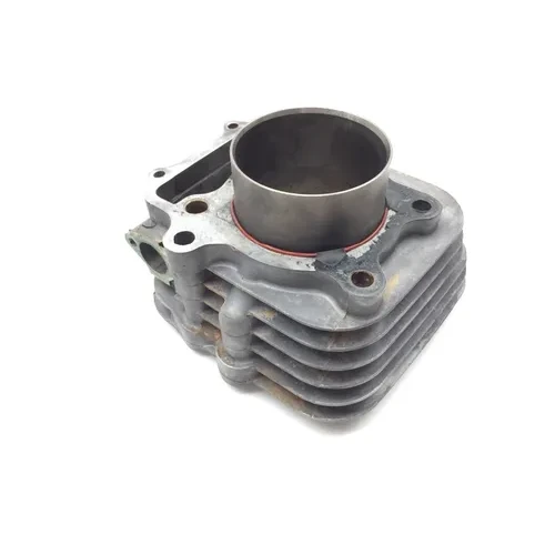 300Ex Engine Cylinder Jug 1997 Honda TRX300EPARTS 9
