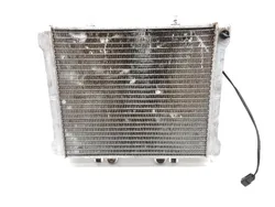 Engine Radiator Cooling 2004 Polaris Sportsman 700 Twin 2140