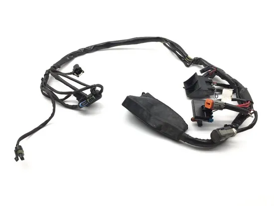 EFI Wiring Harness 2001 Harley-Davidson Electra Glide Police EFI FLHTPI 2112