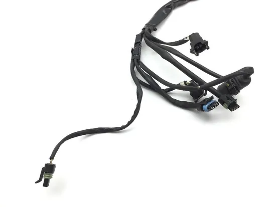 EFI Wiring Harness 2001 Harley-Davidson Electra Glide Police EFI FLHTPI 2112