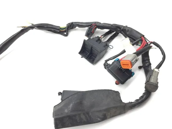 EFI Wiring Harness 2001 Harley-Davidson Electra Glide Police EFI FLHTPI 2112