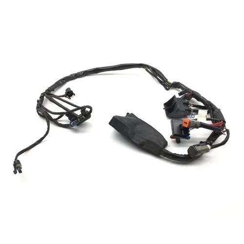 EFI Wiring Harness 2001 Harley-Davidson Electra Glide Police EFI FLHTPI 2112 3