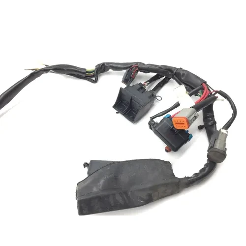 EFI Wiring Harness 2001 Harley-Davidson Electra Glide Police EFI FLHTPI 2112 6