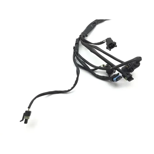 EFI Wiring Harness 2001 Harley-Davidson Electra Glide Police EFI FLHTPI 2112 5