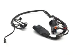 EFI Wiring Harness 2001 Harley-Davidson Electra Glide Police EFI FLHTPI 2112
