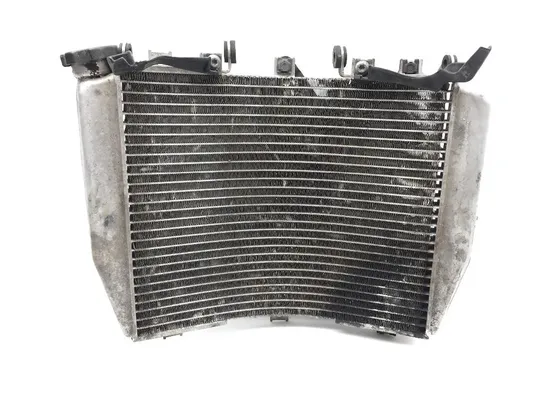 Radiator Cooling Front Fluid with Fan 2007 Kawasaki ZZR600 2173