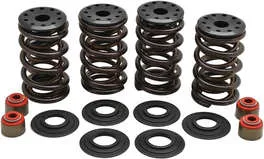 Kibblewhite Intake Exhaust Racing Valve Spring Kit .660in Lift