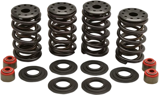 Kibblewhite Intake Exhaust Racing Valve Spring Kit .660in Lift