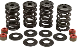 Kibblewhite  Intake Exhaust Racing Valve Spring Kit .660in Lift