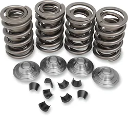 Kibblewhite  Complete Steel Valve Spring Kit
