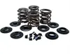 Kibblewhite  Complete Steel Valve Spring Kit