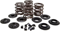 Kibblewhite  Complete Steel Valve Spring Kit .60in Lift