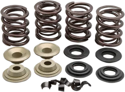 Kibblewhite  Complete Steel Valve Spring Kit