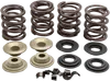 Kibblewhite  Complete Steel Valve Spring Kit