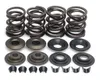 Kibblewhite  Complete Steel Valve Spring Kit