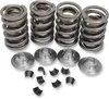 Kibblewhite  Complete Steel Valve Spring Kit