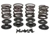 Kibblewhite  Intake Exhaust Valve Spring Kit .600in Lift