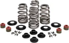 Kibblewhite Intake Exhaust Valve Spring Kit .610in Lift