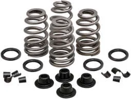Kibblewhite  Intake Exhaust Valve Spring Kit