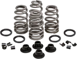Kibblewhite  Intake Exhaust Valve Spring Kit