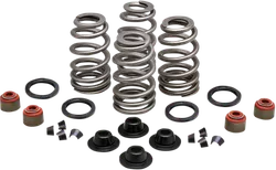 Kibblewhite  Intake Exhaust Valve Spring Kit .660in Lift w Valve Seal