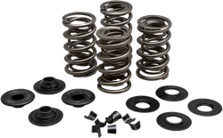 Kibblewhite  Intake Exhaust Valve Spring Kit .675in Lift