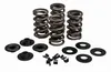 Kibblewhite  Intake Exhaust Valve Spring Kit .675in Lift