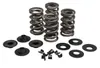 Kibblewhite  Intake Exhaust Valve Spring Kit .650in Lift